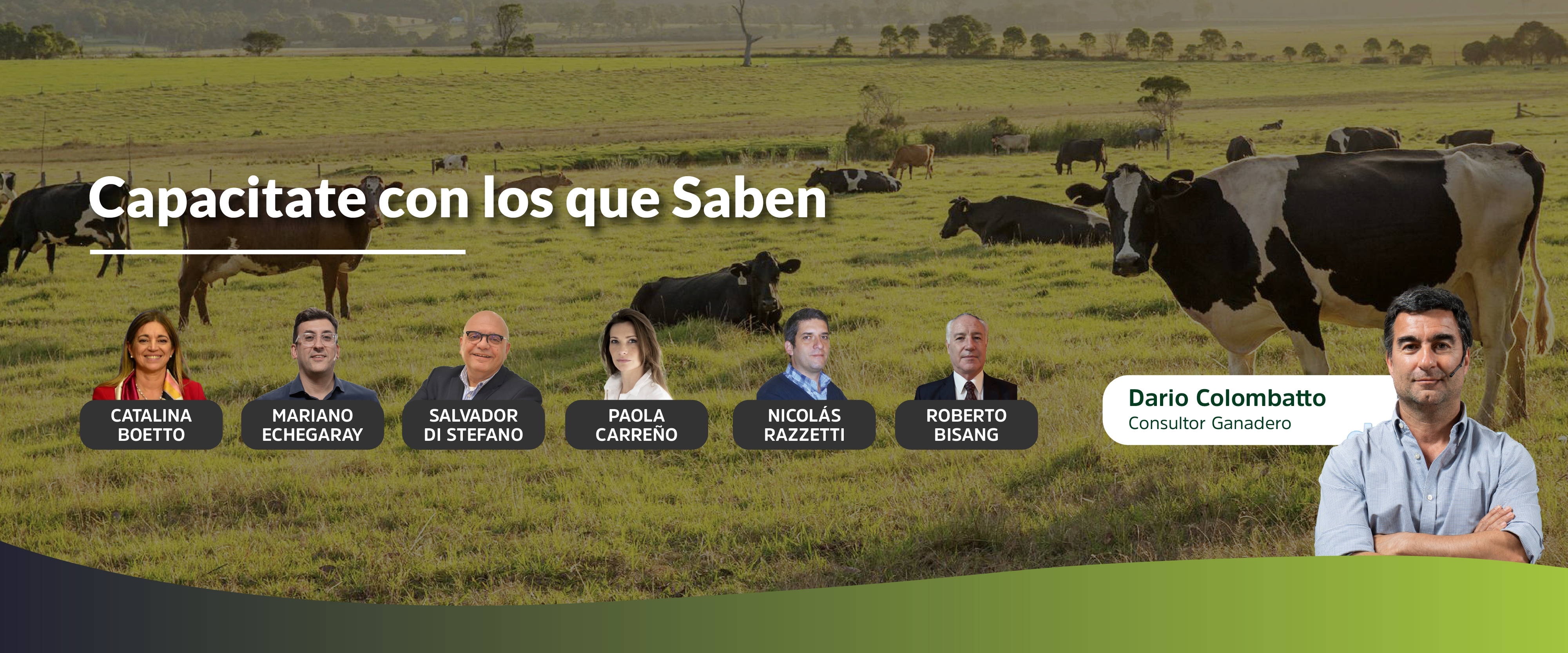 Imagen 4
