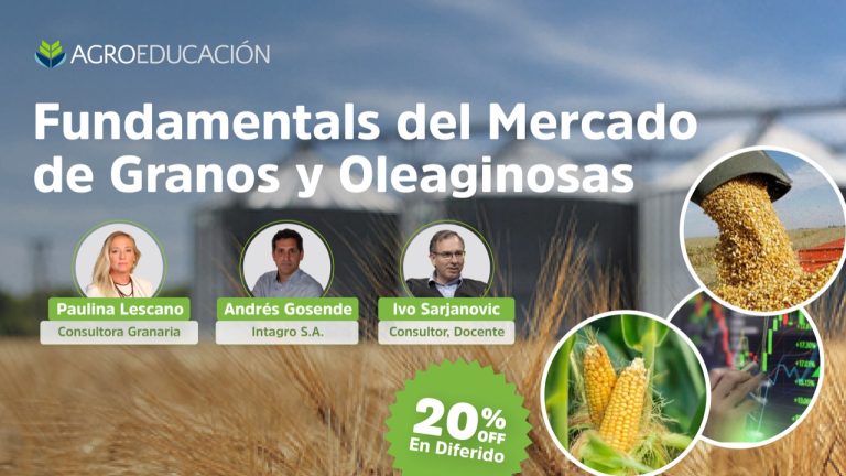 Fundamentals Del Mercado De Granos Y Oleaginosas Agroeducación